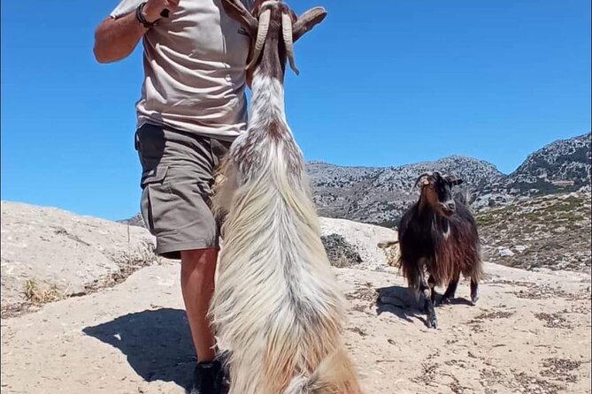 Crete: Tripitis Gorge South Crete Guided Jeep Safari - Monastery of Saint George Epanosifi: Byzantine churches and priest life