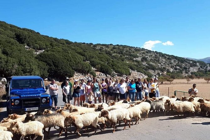 Crete: Tripitis Gorge South Crete Guided Jeep Safari - Pickup, timing, and how the route starts