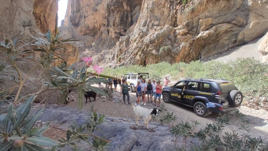 Crete: Trypiti Beach Off-Road South Tour w/ Lunch & Wine - St. Savvas canyon viewpoints and wildlife pauses