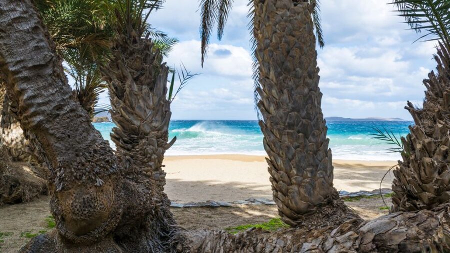 Crete: Vai Palm Forest, Itanos & Erimoupoli Beach, Road Trip - Key things to know before you go