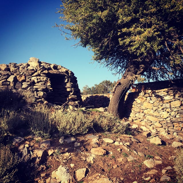 Crete: White Mountains Preserve Day Tour - Key things that make this White Mountains day tour worth your time
