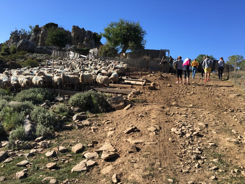 Crete: White Mountains Preserve Day Tour - Therisso village streets and the Therisos Gorge finish