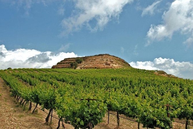 Crete Wine and Olive Oil Tour - Key Points You’ll Care About