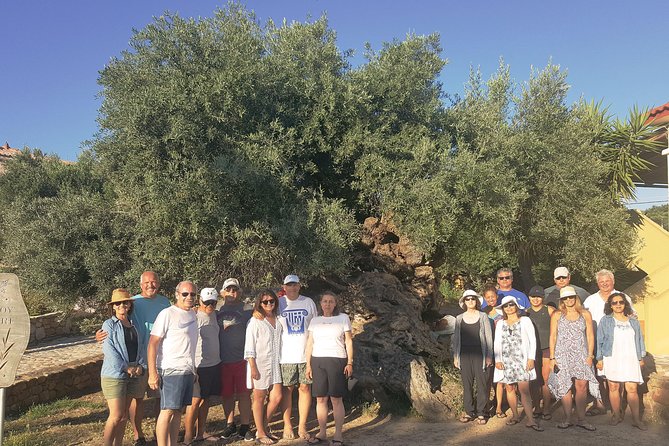 Crete Wine and Olive Oil Tour - Price and Value at About $145: What You Actually Get