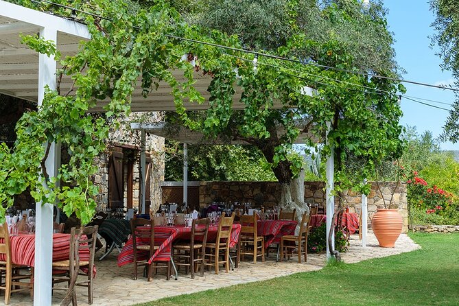 Crete Wine and Olive Oil Tour - Who This Tour Fits Best (and Who Should Skip It)