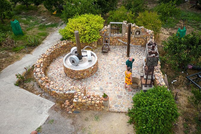 Crete Wine and Olive Oil Tour - Vouves Monumental Olive Tree: A Quick Stop With Serious Wow Factor