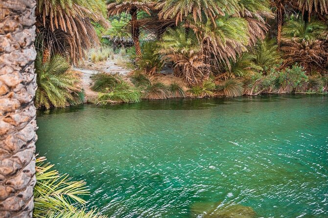 Day Tour to Preveli Tropical Beach and Palm Forest from Heraklion - Price and Value: What About $44.74 Really Buys You