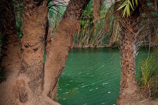Day Tour to Preveli Tropical Beach and Palm Forest from Heraklion - Pickup Circles, Group Size, and the Guide Staffing Factor
