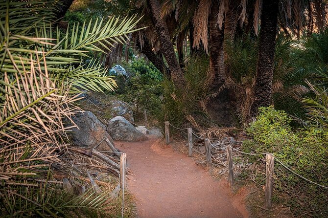 Day Tour to Preveli Tropical Beach and Palm Forest from Heraklion - What to Bring for Preveli (So the Canyon Walk Feels Easy)