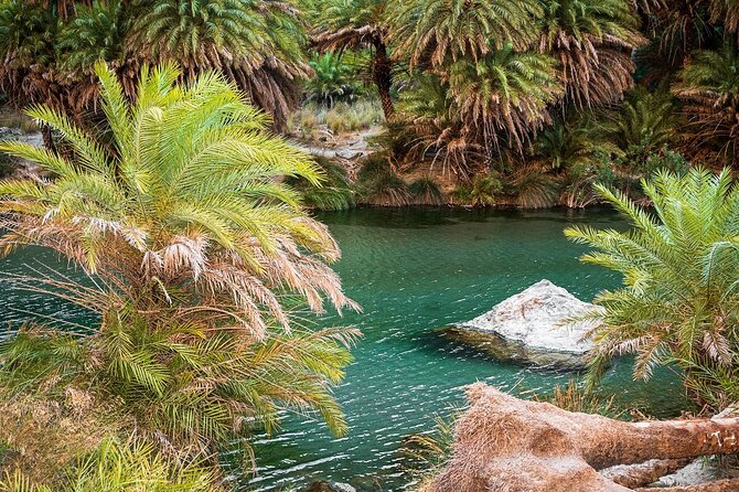Day Tour to Preveli Tropical Beach and Palm Forest from Heraklion - Who This Tour Suits Best (And Who Might Think Twice)