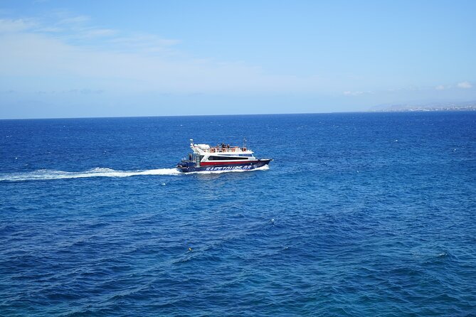 Dia Island Adventure Mythology Nature and Snorkeling Tour - Price and Value at $77.44 Per Person: What You’re Really Buying