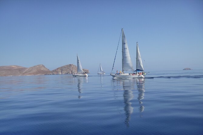 Dia island : Small Group Sailing Trip to Dia Island with Lunch - Sailing from Heraklion: the short hop to Dia’s quiet coves