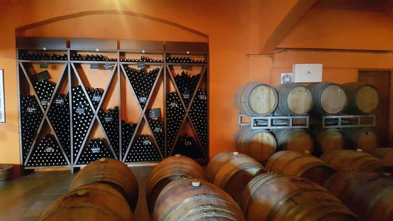 Discover Taste of Crete: Guided Winery Tour and Tastings - Who Should Book This Winery Tour (and Who Might Prefer Something Else)