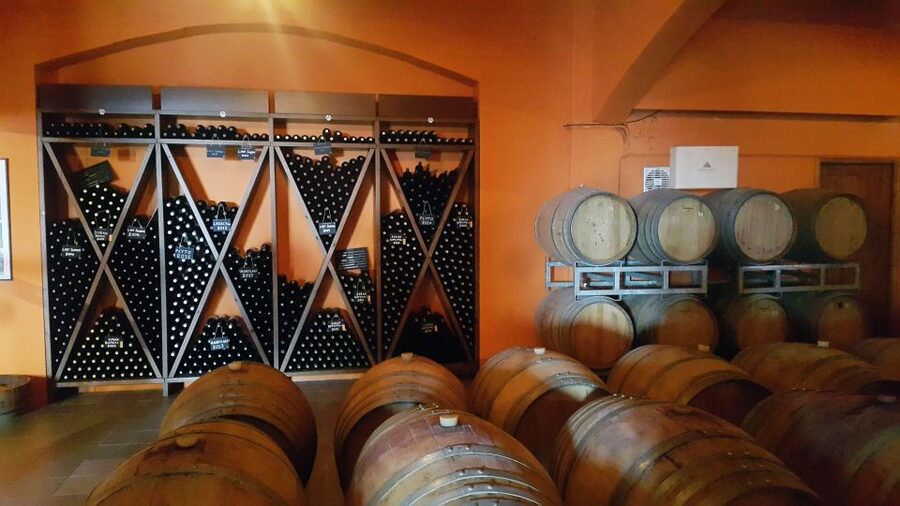 Discover Taste of Crete: Guided Winery Tour and Tastings - Snacks, Lunch, and Extra Costs: What’s Included vs. What You’ll Pay For