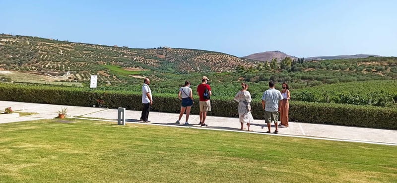 Discover Taste of Crete: Guided Winery Tour and Tastings - What to Buy and How to Choose Bottles That You’ll Actually Enjoy