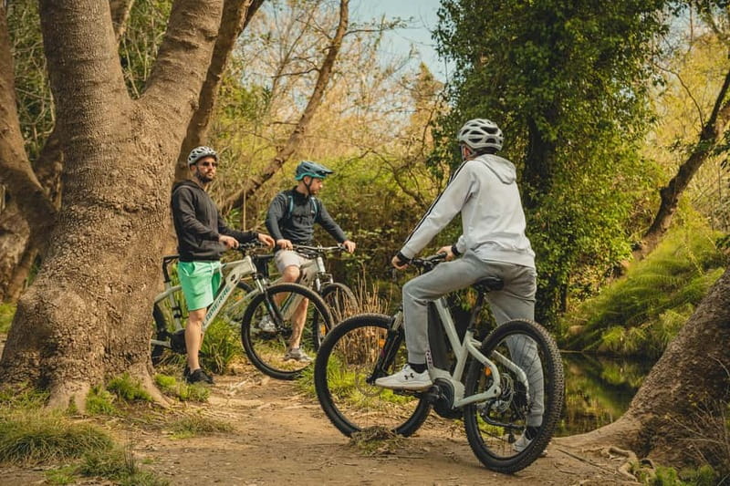 Discover the Heart of Crete on an E-Bike Adventure - Key Takeaways Before You Go