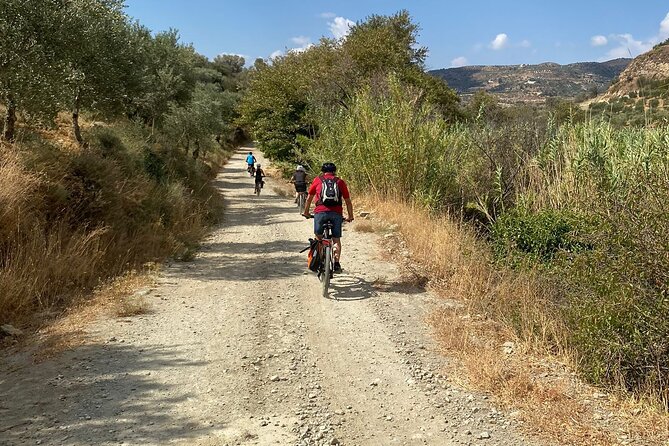 E-Bike Tour with Wine Tasting in Dafnes, Heraklion - The e-bike part: easy to ride, still a workout