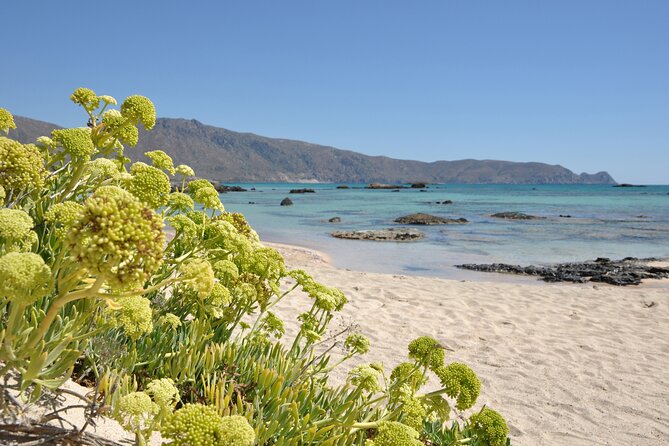 Elafonissi Beach Crete Day Trip - Crowds, Toilets, and Sun-Lounger Reality on a Famous Beach