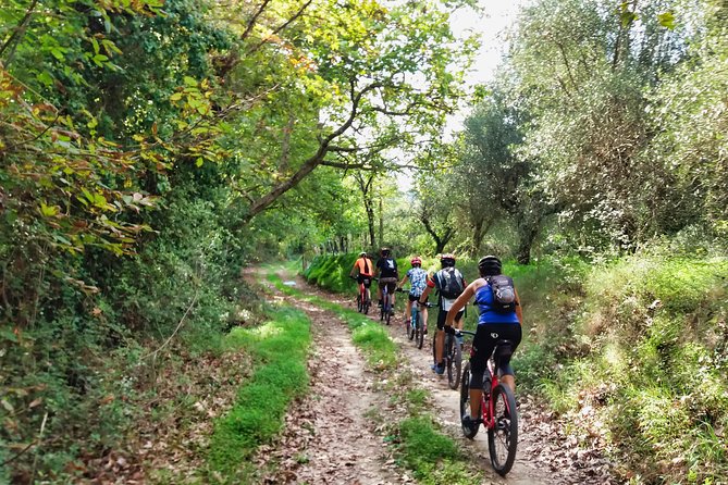 Eleftherna E-Bike and MTB Tour - Experience The Authentic Crete - Key highlights you’ll care about