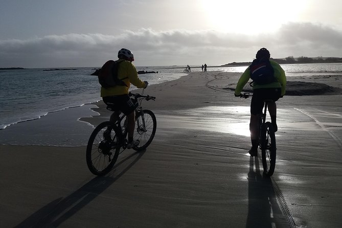 Eleftherna E-Bike and MTB Tour - Experience The Authentic Crete - Weather and pace: the reality check before you go