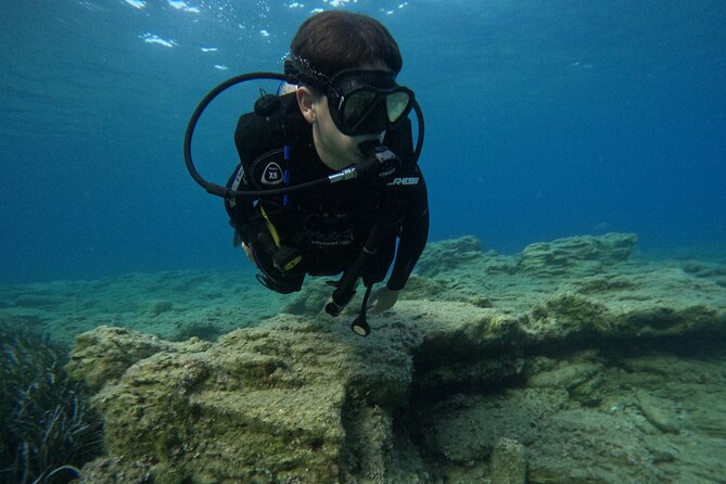 Experience Scuba Diving in Heraklion Crete - The Underwater Experience: Sea Life You’ll Actually Get to See