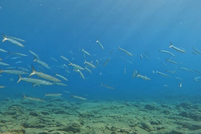 Experience Scuba Diving in Heraklion Crete - Photos, Video, and the Stuff That Makes the Day Last