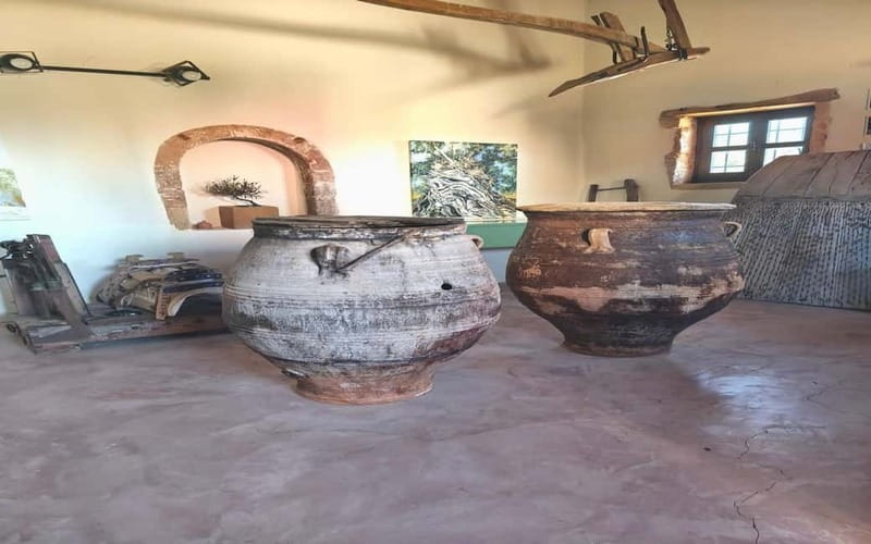 Flavors of Crete from Chania: Wine & Olive Oil Tasting Tour - The winery museum visit, then the paid wine tasting