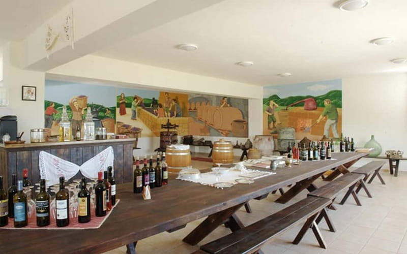 Flavors of Crete from Chania: Wine & Olive Oil Tasting Tour - Lunch and views: where Cretan food becomes the main event