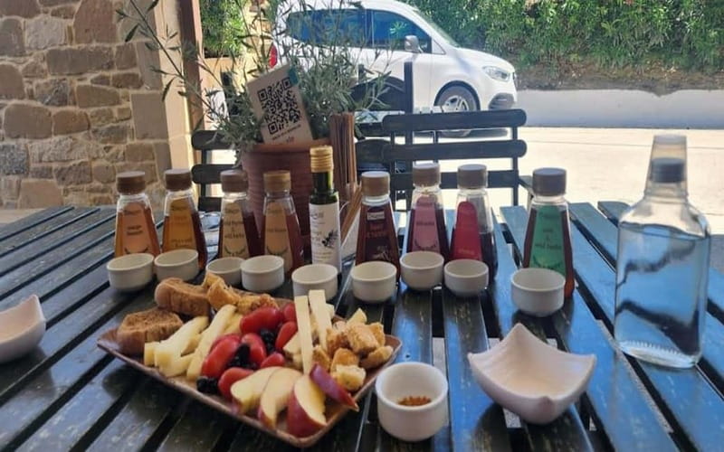 Flavors of Crete from Chania: Wine & Olive Oil Tasting Tour - Ano Vouves: the 4,000-year-old olive tree stop