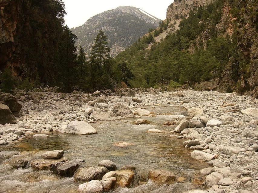 From Agia Galini/Matala: Samaria Gorge Hiking Tour - Getting to Omalos Plateau: the long-transfer reality check