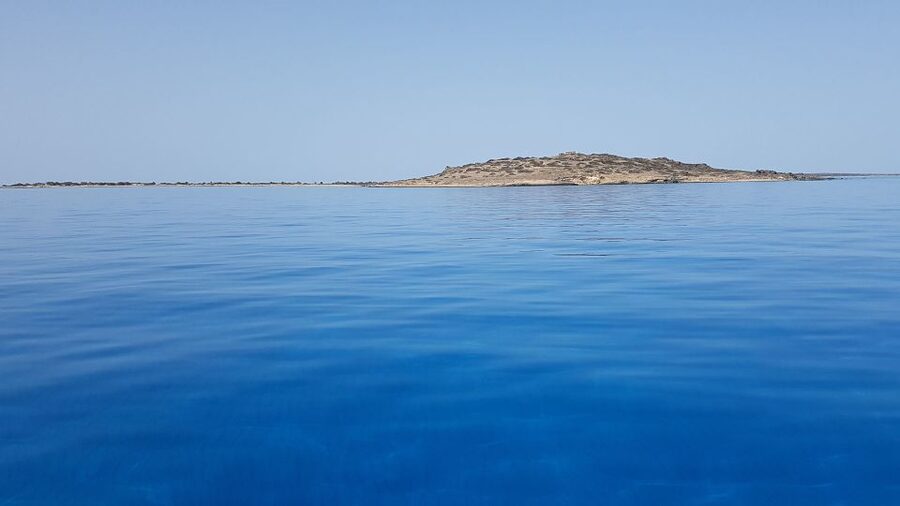 From Chania Area: Day Trip to Elafonisi Island by Bus - Key highlights you’ll actually feel