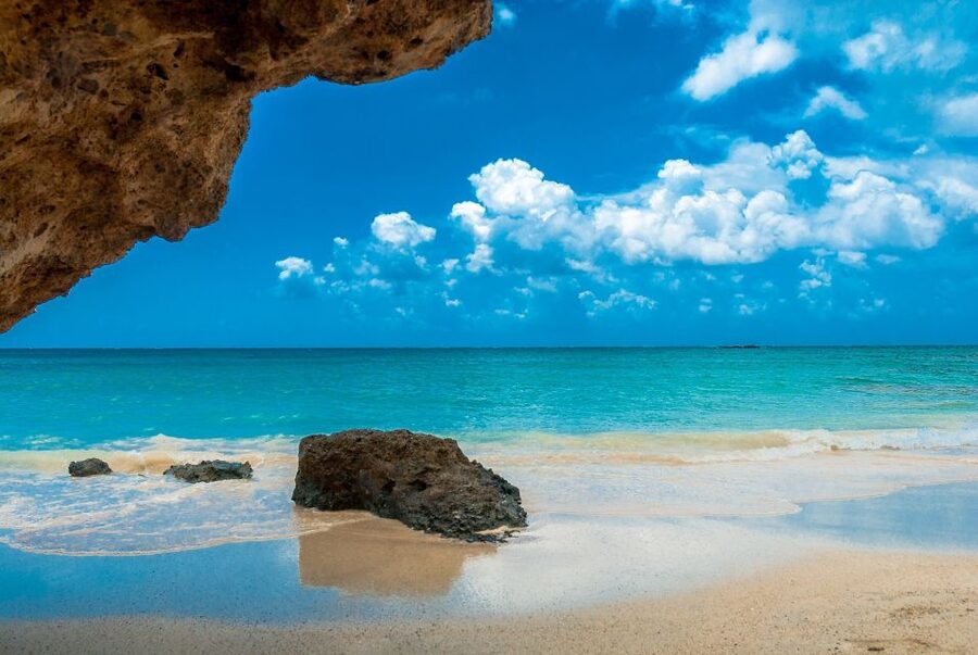 From Chania Area: Day Trip to Elafonisi Island by Bus - Price and value: is $43 a good deal?