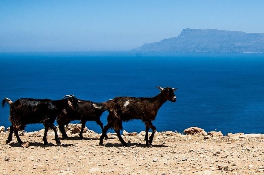 From Chania: Balos Lagoon & Falassarna Private 4WD Road Trip - Falassarna Beach Time: Swimming, Sand, and a Lunch Stop That Works