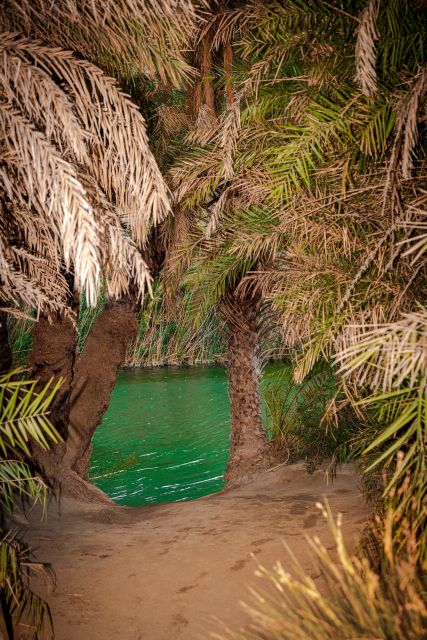 From Chania: Day Trip to Preveli Beach & Damnoni Beach - Price and value: what $42 covers (and what doesn’t)