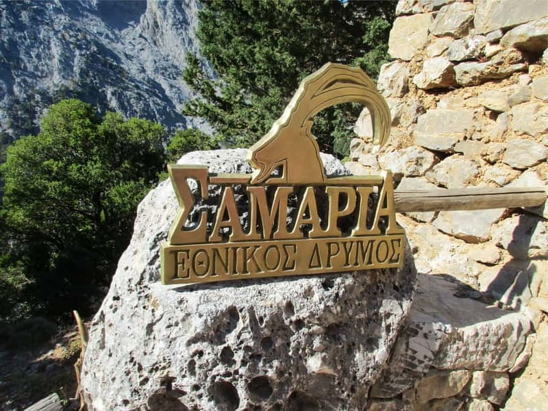 From Chania: Full-Day Samaria Gorge Trek Excursion & Guide - Entering Samaria Gorge: old trees, spring water, and goats in the wild