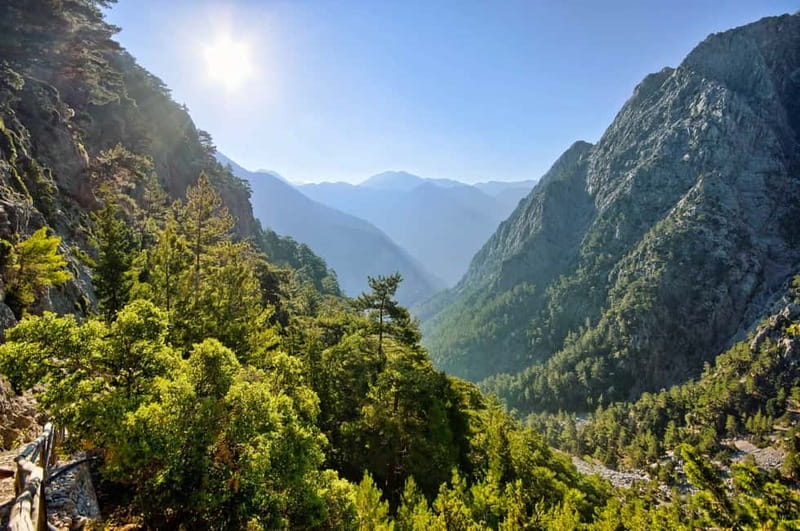 From Chania: Full-Day Samaria Gorge Trek Excursion & Guide - The rocky downhill test: how to pace yourself like a pro