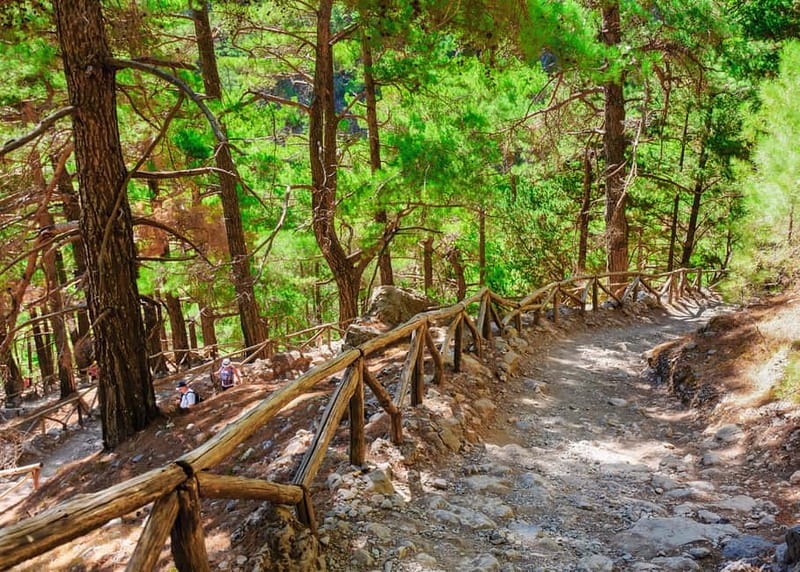 From Chania: Full-Day Samaria Gorge Trek Excursion & Guide - Who this trip suits—and who should skip it