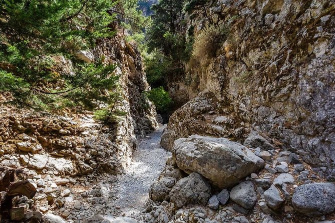From Chania: Imbros Gorge and Sfakia Experience Hike & Swim - From Chania to the Gorge: Hotel Pickup and a 7:30 Start