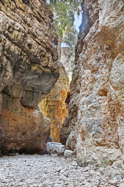 From Chania:Imbros Gorge Tour with Professional Hiking Guide - Key things you’ll notice on this Imbros Gorge day