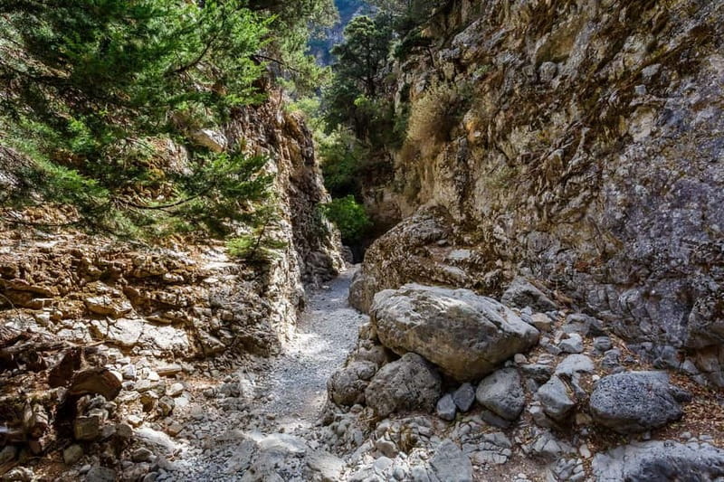 From Chania:Imbros Gorge Tour with Professional Hiking Guide - Entering Imbros Gorge: what the 2.5-hour hike is really like