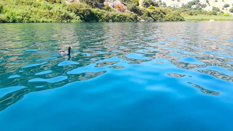 From Chania: Lake Kournas & Argiroupoli Springs Guided Tour - Why This Chania Day Trip Feels Like More Than a Drive