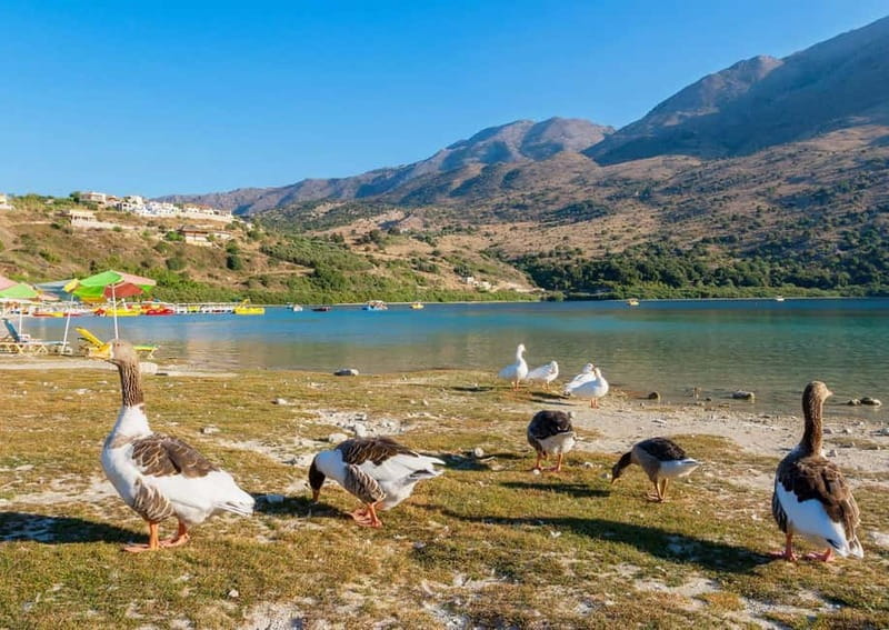From Chania: Lake Kournas & Argiroupoli Springs Guided Tour - Starting from Chania: Pickup, Transportation, and Your Pace