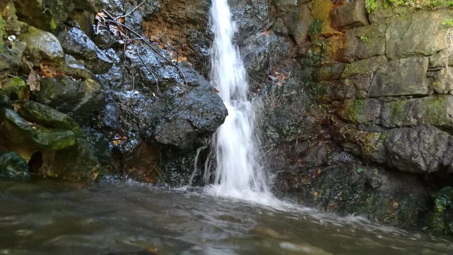 From Chania: Lake Kournas & Argiroupoli Springs Guided Tour - Vrysses Cafés and Flowing Water: A Gentle End to the Day