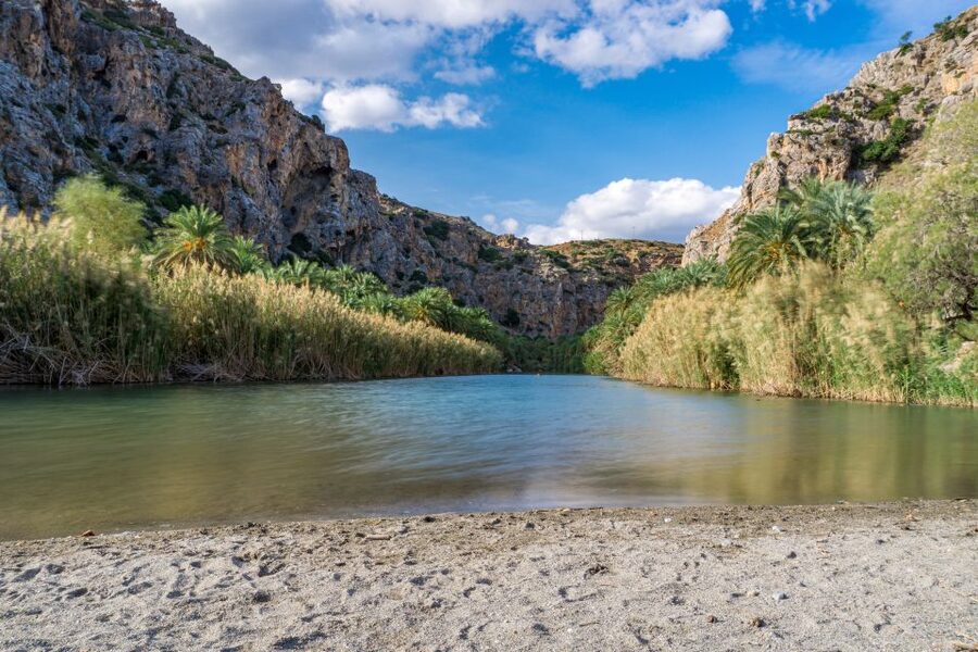 From Chania: Preveli Palm Beach Day Tour - The Damnoni ferry ride to Preveli