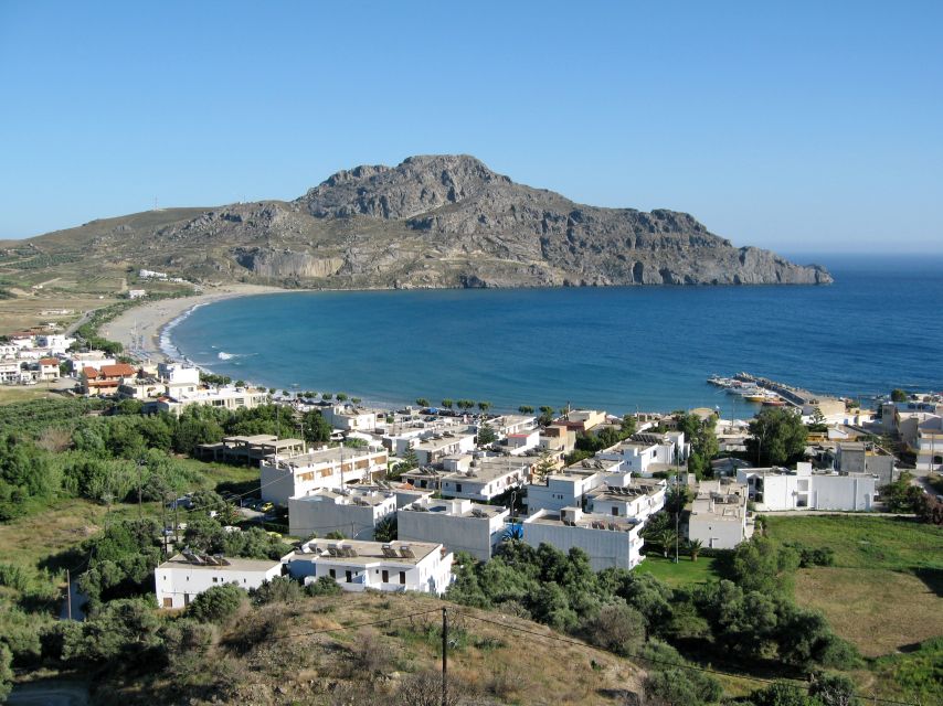From Chania: Preveli Palm Beach Day Tour - Preveli Palm Forest and Kourtaliotiko Gorge views