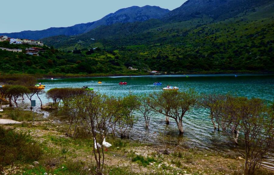 From Chania: Rethymno, Lake Kournas & Olive Oil Tasting Tour - What’s Included (and Why It Changes the Value)