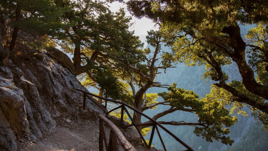 From Chania: Samaria Gorge Full-Day Guided Hiking Tour - Samaria Gorge National Park: 600 steps, then the long descent