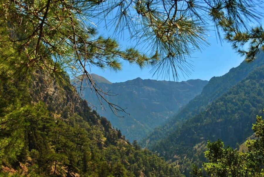 From Chania: Samaria Gorge Full-Day Guided Hiking Tour - Agia Roumeli: beach time, taverna snacks, and practical shopping