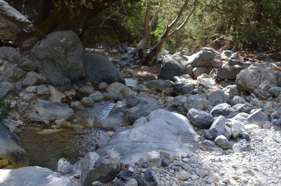 From Chania: Samaria Gorge Hike with Local Mountain Guide - Smart packing tips that actually help on this trail