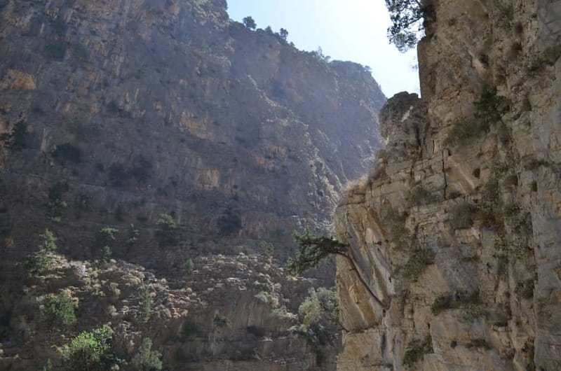 From Chania: Samaria Gorge Hike with Local Mountain Guide - Samaria Gorge: why this 18-kilometre trail is a big deal